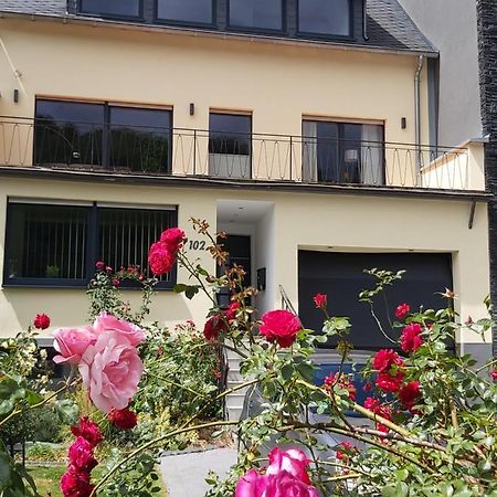 Ferienwohnung "Zum Klosterruinenblick" Kröv Dış mekan fotoğraf
