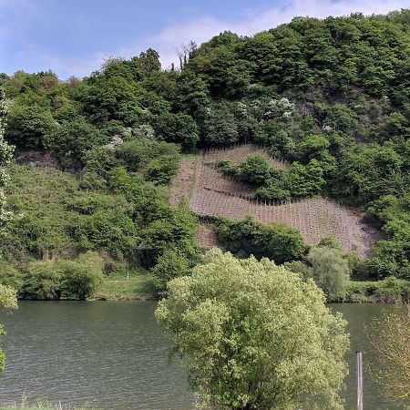 Ferienwohnung "Zum Klosterruinenblick" Kröv Dış mekan fotoğraf