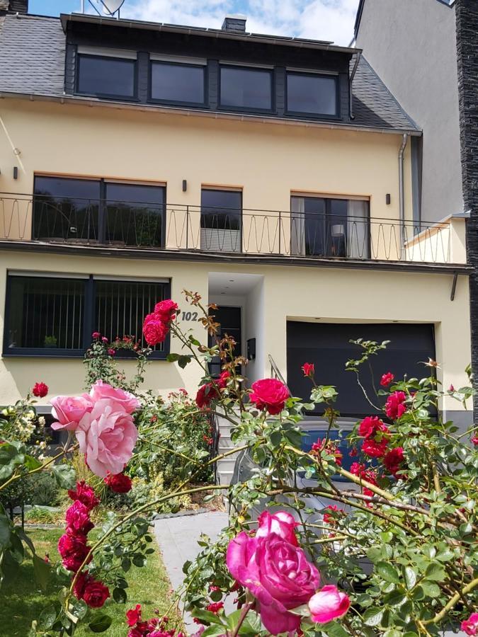 Ferienwohnung "Zum Klosterruinenblick" Kröv Dış mekan fotoğraf