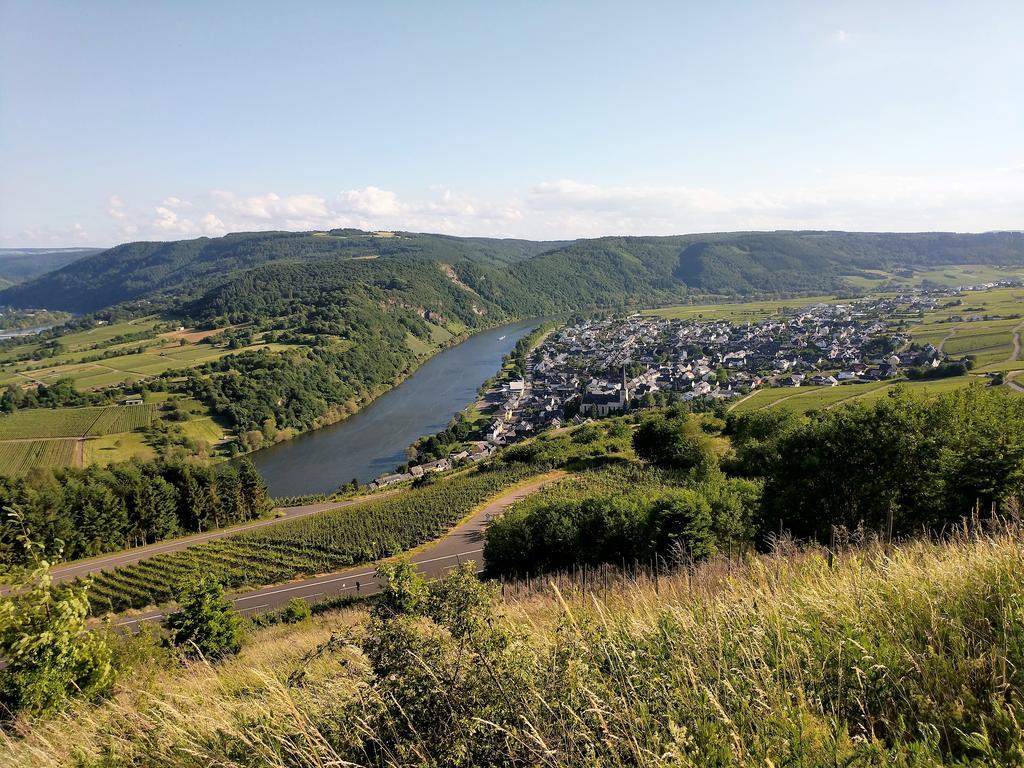 Ferienwohnung "Zum Klosterruinenblick" Kröv Dış mekan fotoğraf