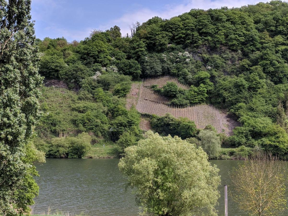 Ferienwohnung "Zum Klosterruinenblick" Kröv Dış mekan fotoğraf
