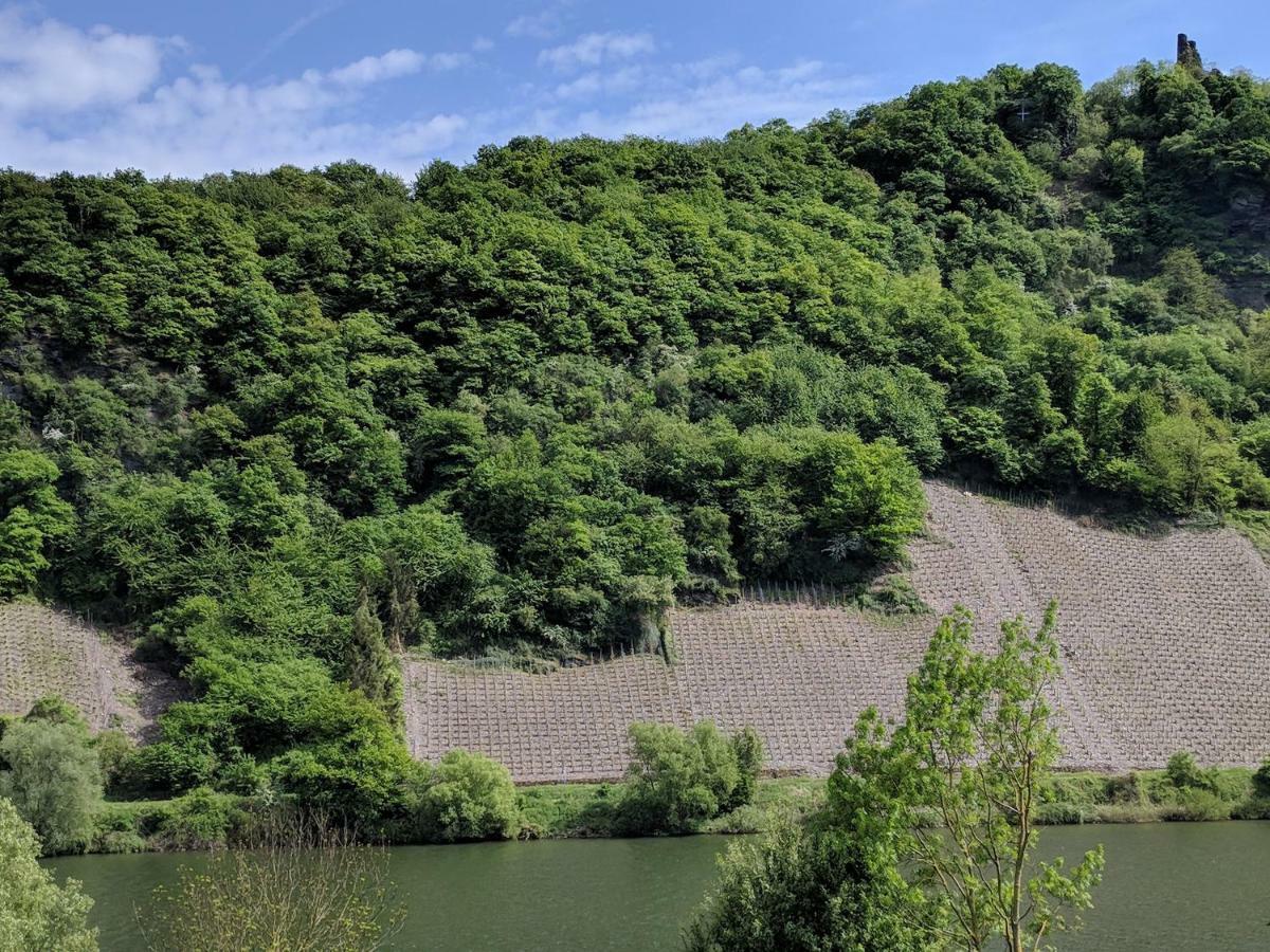 Ferienwohnung "Zum Klosterruinenblick" Kröv Dış mekan fotoğraf